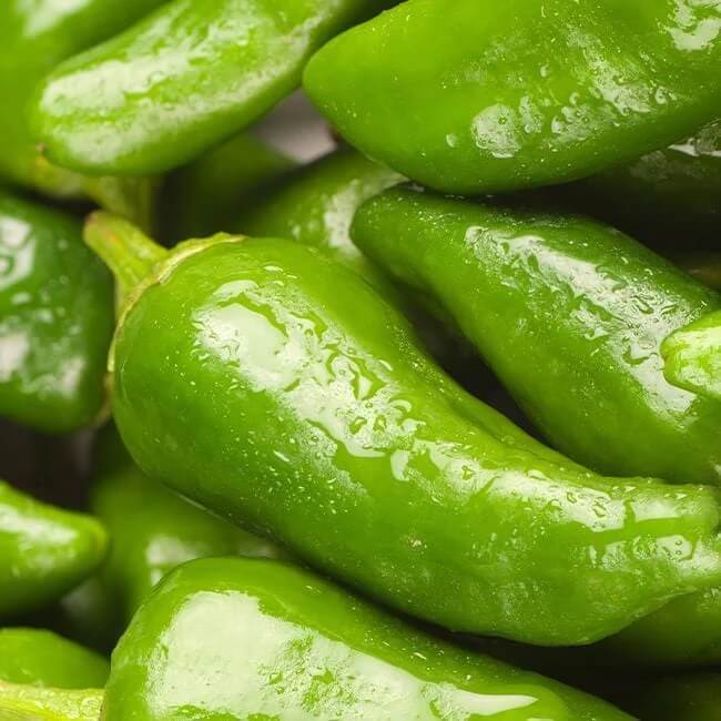 Padron Pepper Seeds  - Vegetable Plant