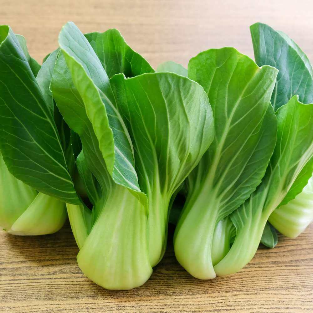 Pak Choi Seeds - Herbal Plant