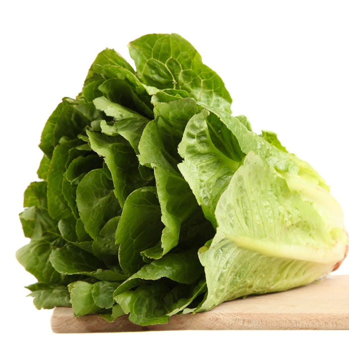 Paris White Cos Lettuce Seeds