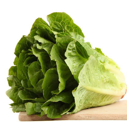 Paris White Cos Lettuce Seeds