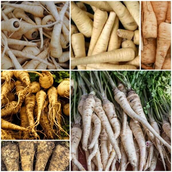 Parsnip Seeds - All In One For Home Gardens