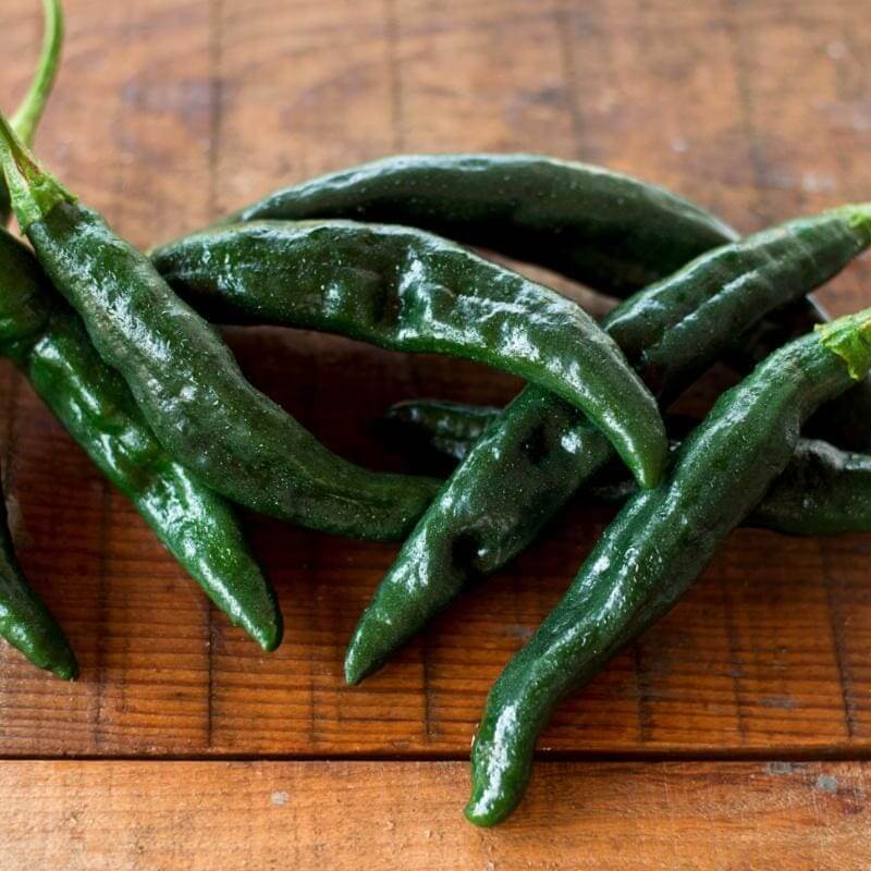 Pasilla Pepper Seeds -  Vegetable Plant 