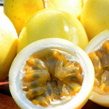 Passiflora Edulis Seeds - Fruit Plant