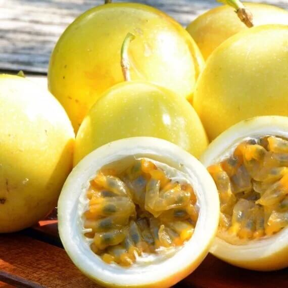 Passion Seeds
