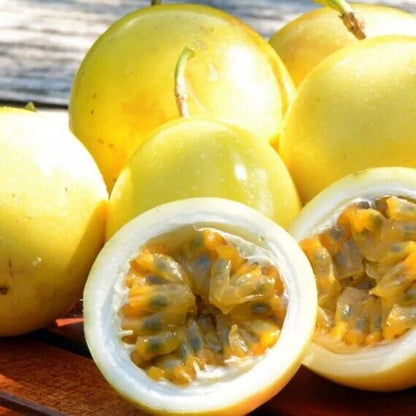 Passion Seeds