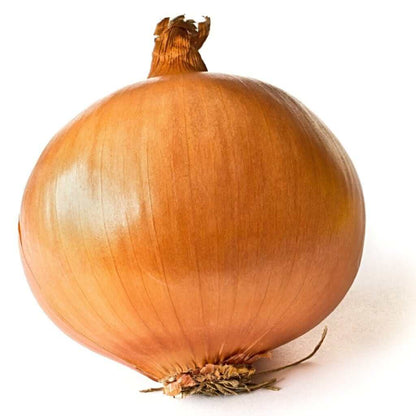 Patterson onion seeds - Vegetable Plant