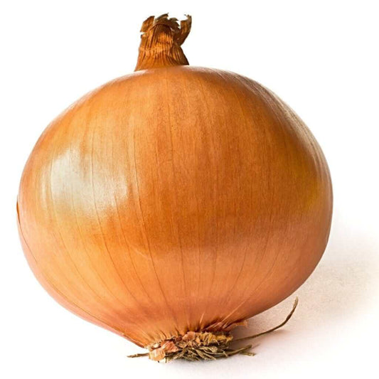 Patterson onion seeds - Vegetable Plant