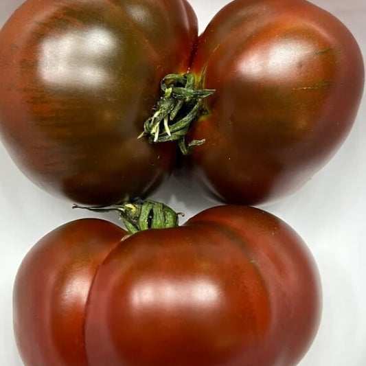 Paul Robeson Tomato Seeds - Vegetable Plant