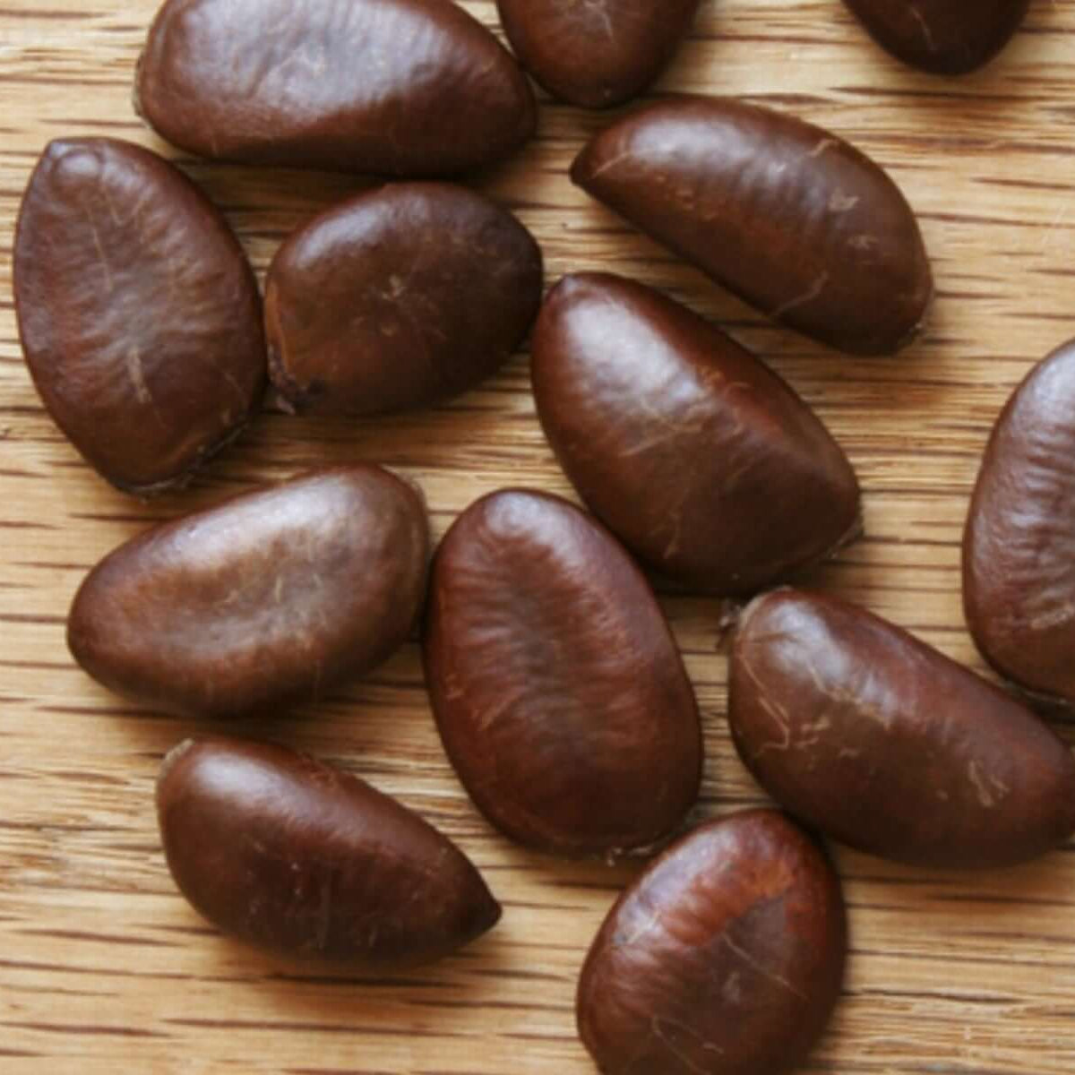 Pawpaw Seeds