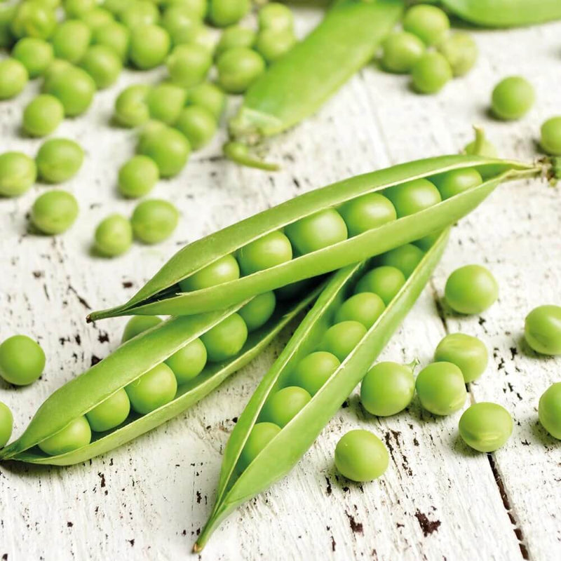Pea seeds - Vegetable Plant