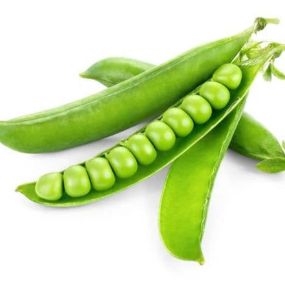 Pea seeds - Vegetable Plant