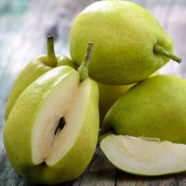 Pears seeds - Fruit for Home Gardens