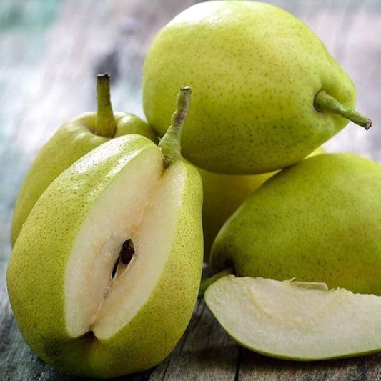 Pears seeds - Fruit for Home Gardens