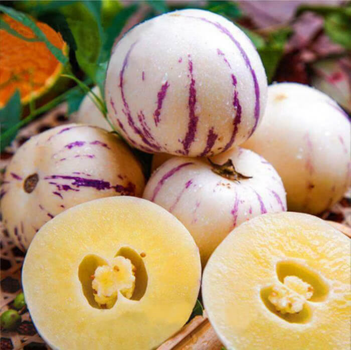 Pepino Dulce Melon Seeds 