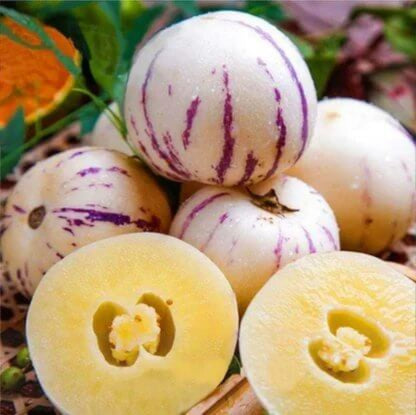 Pepino Dulce Seeds 