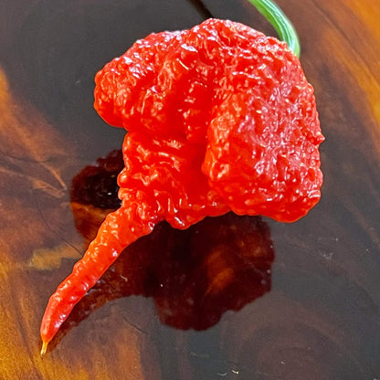 Pepper Carolina Reaper Seeds 