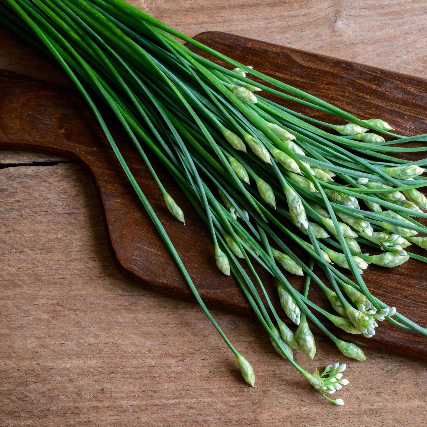 Perennial Garlic Herb Seeds