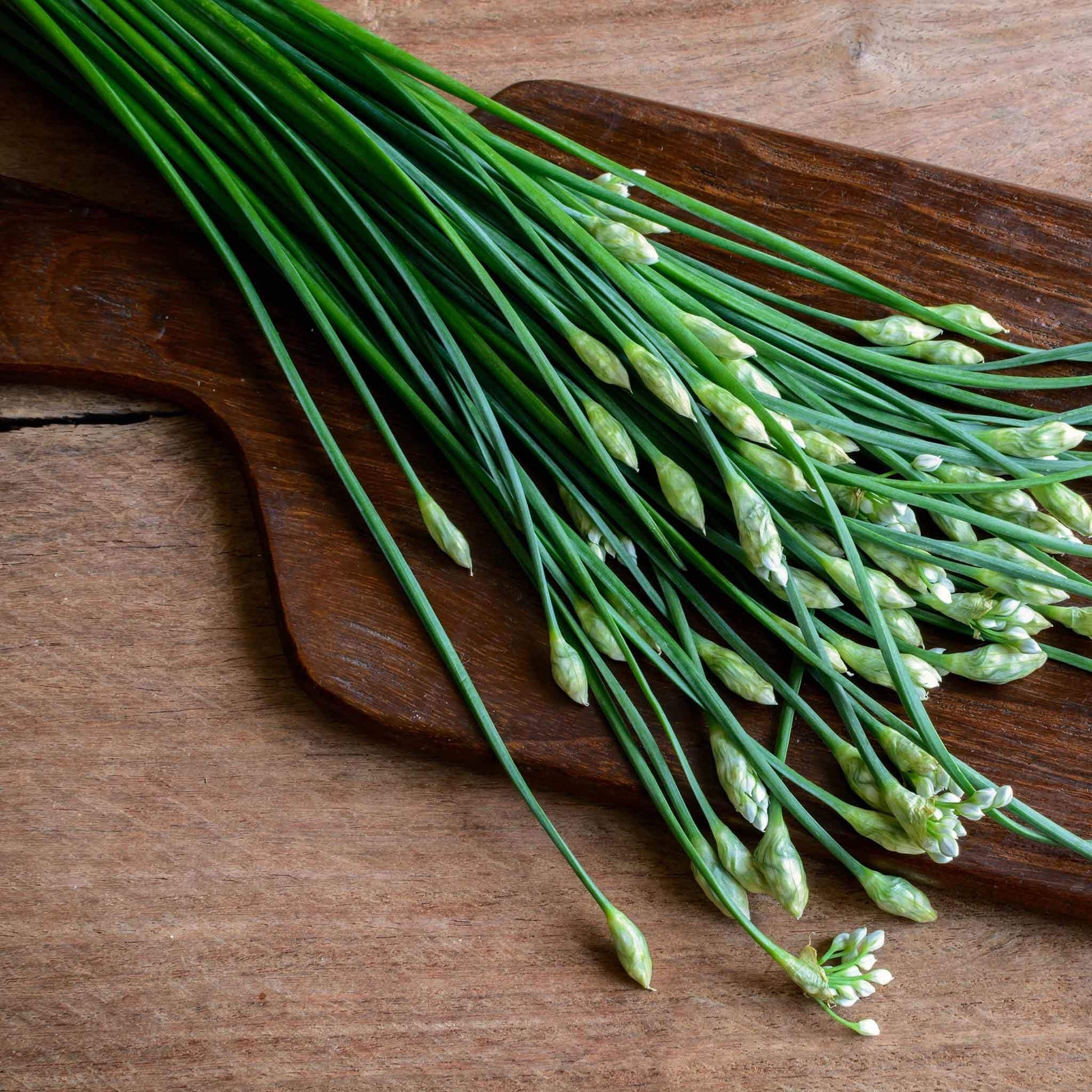 Perennial Garlic Herb Seeds