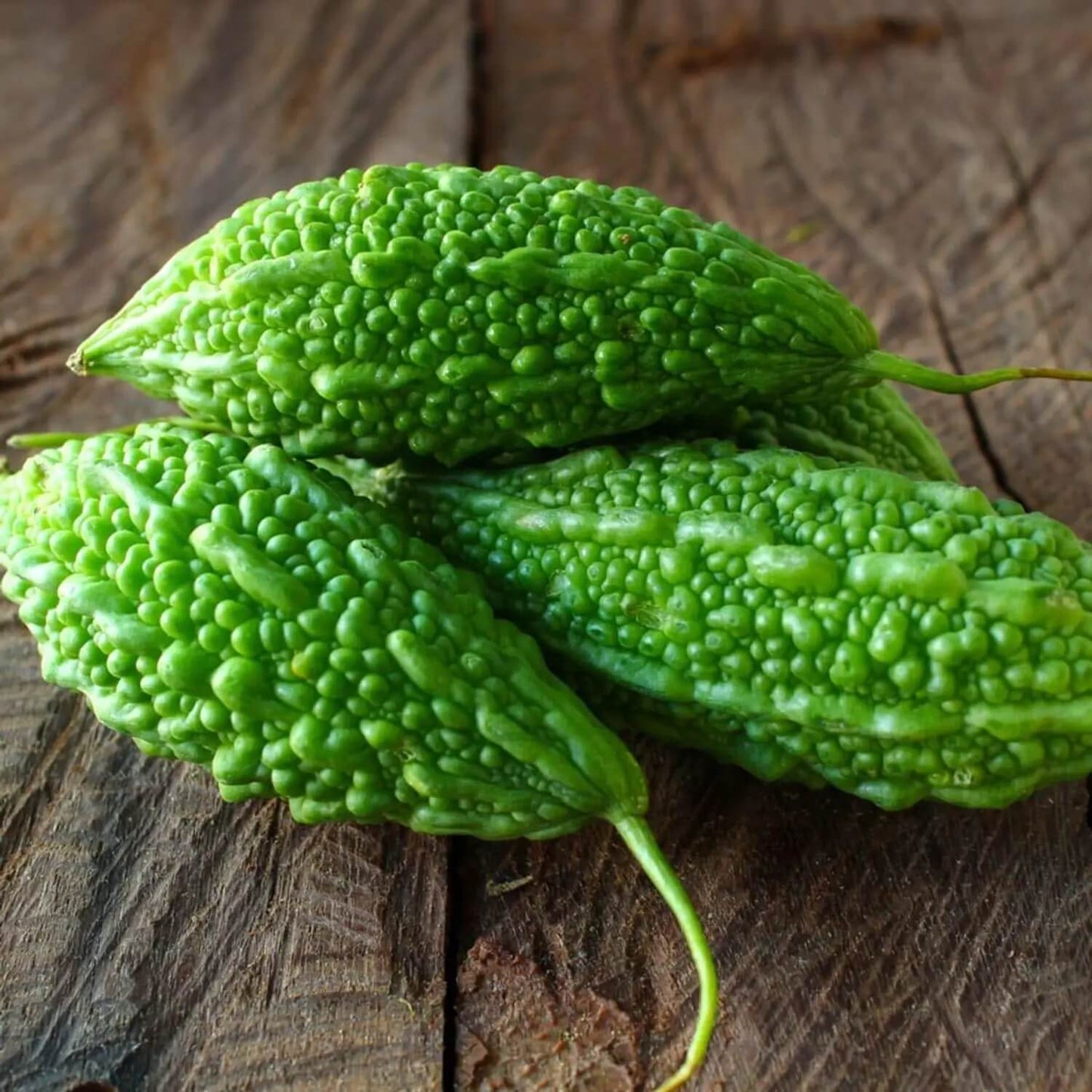 Philippine Bitter Gourd Seeds