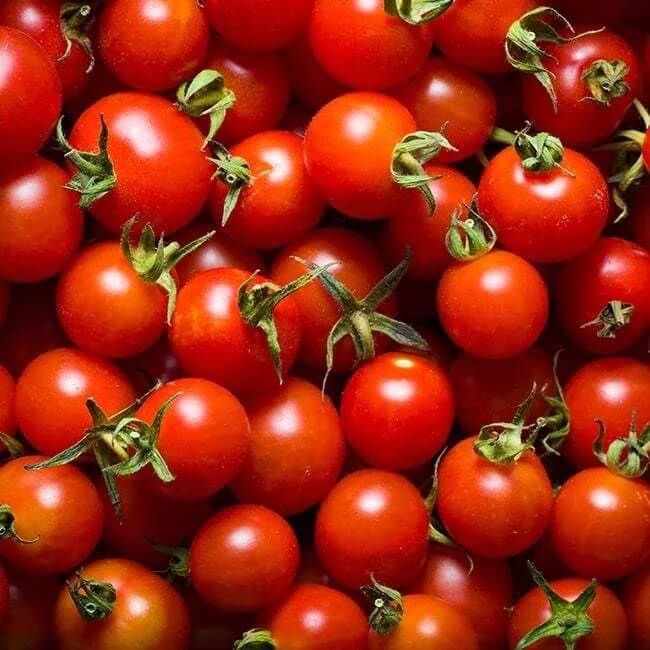 Phoenix Hybrid Tomato Seeds