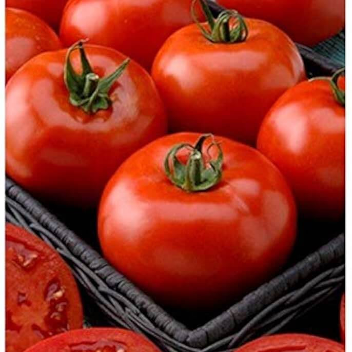 Phoenix Tomato Seeds - Vegetable Plant
