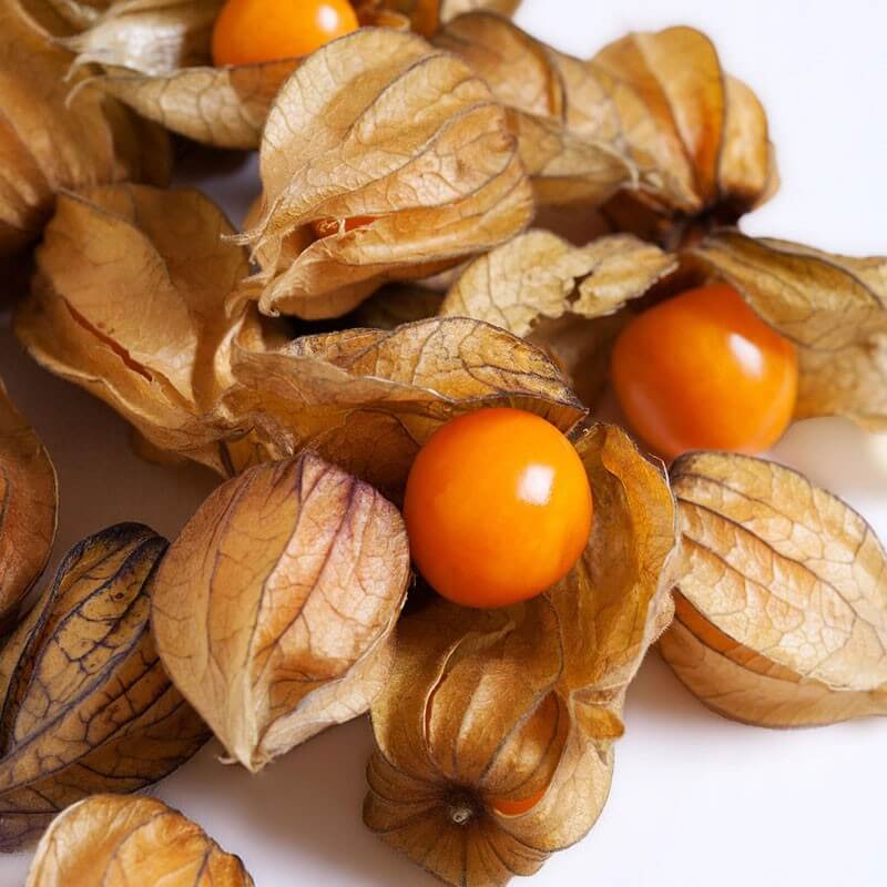 Physalis peruviana seeds - Fruit Plant 