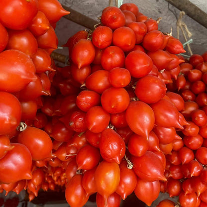 Piennolo Tomato Seeds