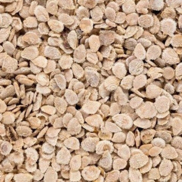 Piennolo Tomato Seeds