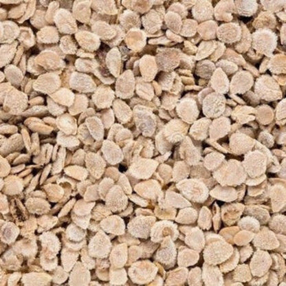 Piennolo Tomato Seeds