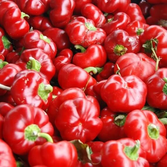 Pimento Pepper Seeds - Vegetable Plant
