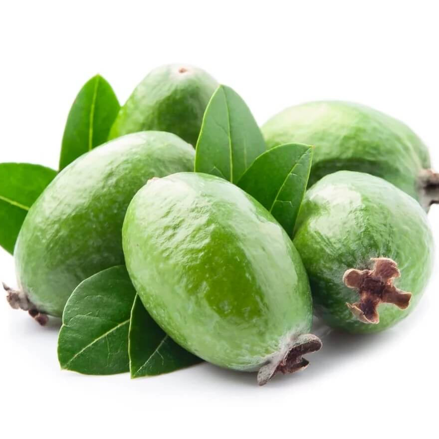 Pineapple Guava Seeds - Fruit Plant