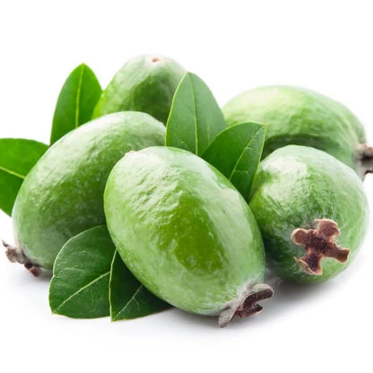 Pineapple Guava Seeds - Fruit Plant