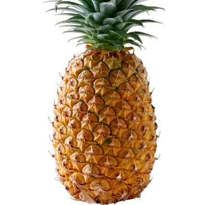 Pineapple Seeds