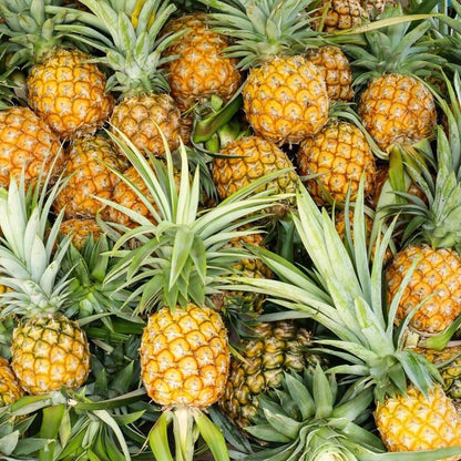 Pineapple Seeds