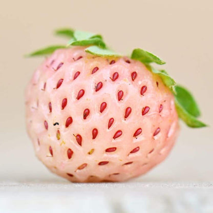 Pineberry seeds - Fruit Plant for Home Gardens