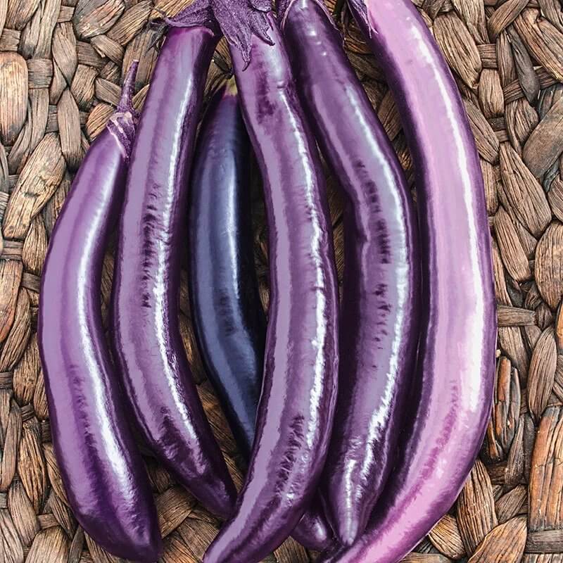 Ping Tung Long Eggplant Seeds - Heirloom Vegetable Plant for Home Gardens