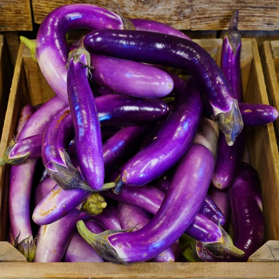 Ping Tung Long Eggplant Seeds - Heirloom Vegetable Plant for Home Gardens