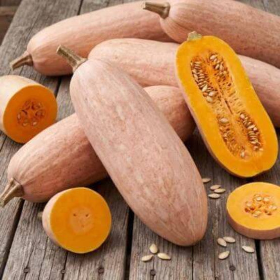Pink Banana Pumpkin Seeds