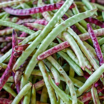 Pink Eyed Purple Hull Cowpea Seeds