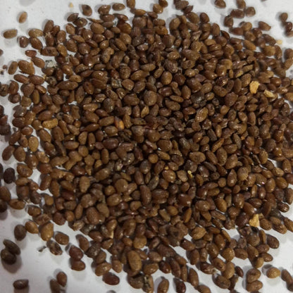 Pink Kiwi Seeds