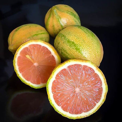 Pink Lemon Seeds 