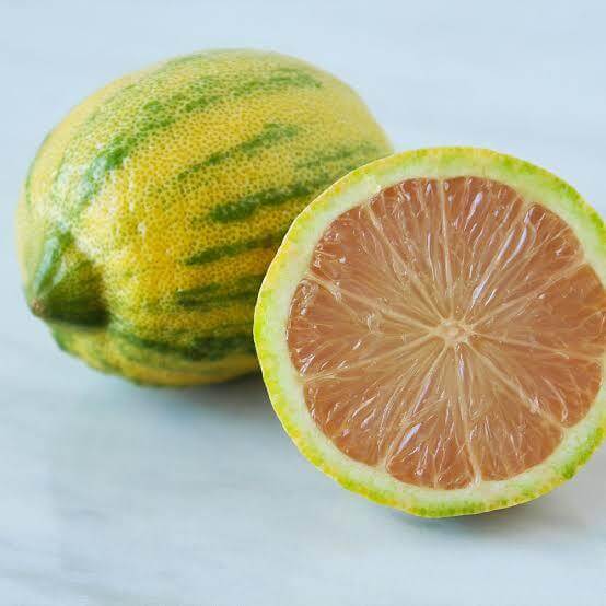 Pink Lemon Seeds 