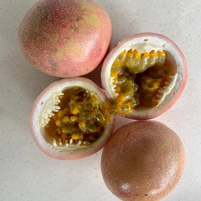 Pink Passion Seeds