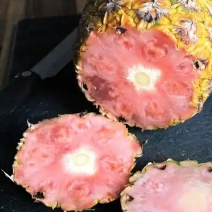 Pink Pineapple Seeds