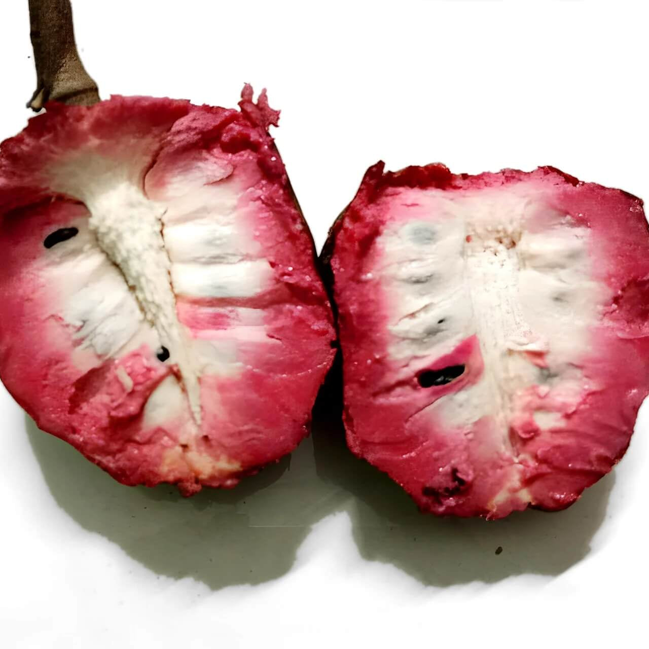 Pink Soursop Seeds 