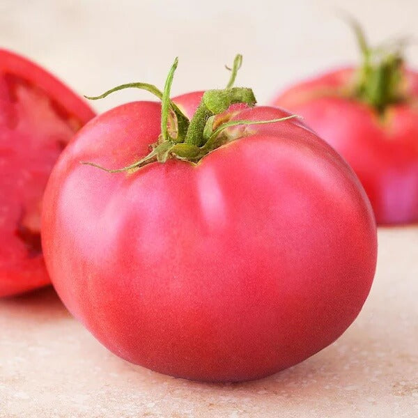 Pink Tomato Seed