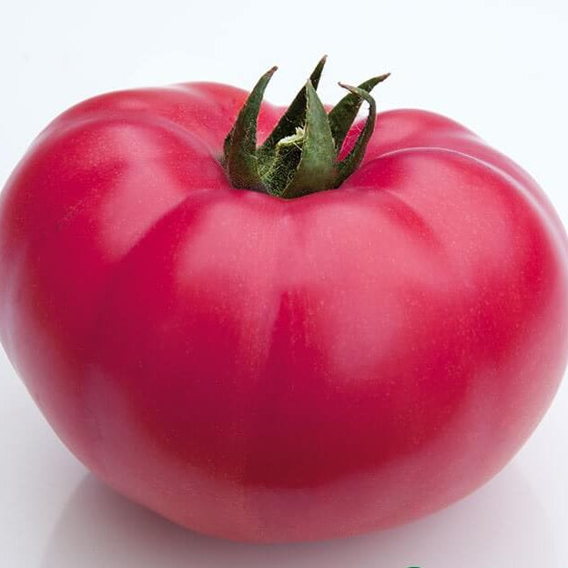 Pink Tomato Seed