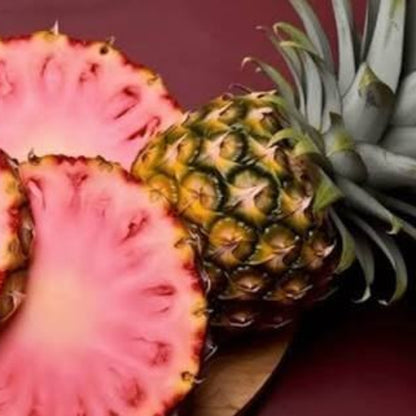 Pink glow Pineapple Seeds