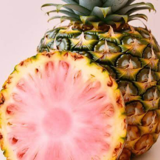 Pink glow Pineapple Seeds
