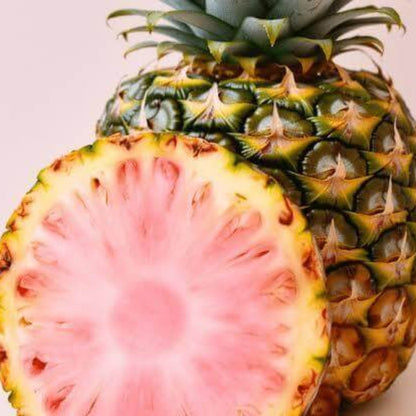 Pink glow Pineapple Seeds